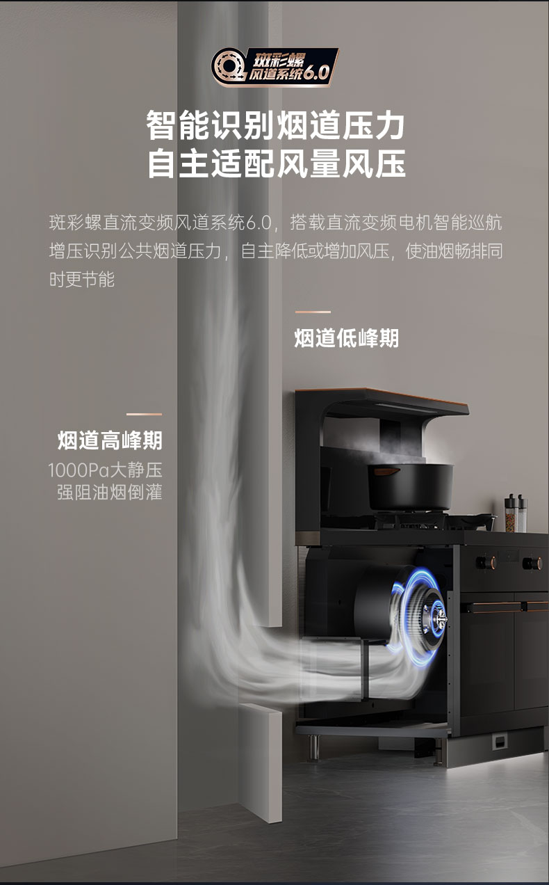 帥豐星辰X1雙子星蒸烤獨(dú)立(100S)集成灶