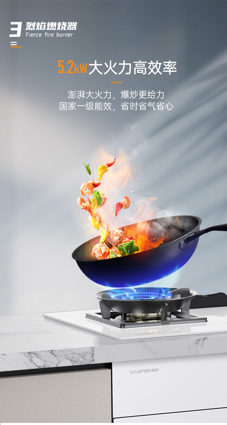 帥豐G5 歸·愛 蒸烤獨立集成烹飪中心