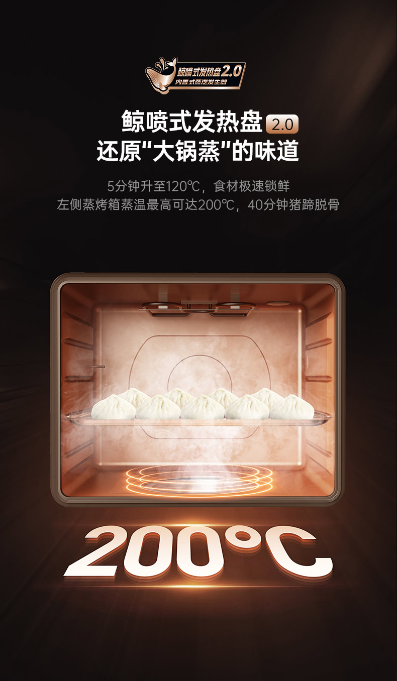 帥豐星辰X1雙子星蒸烤獨立(100Pro)集成灶