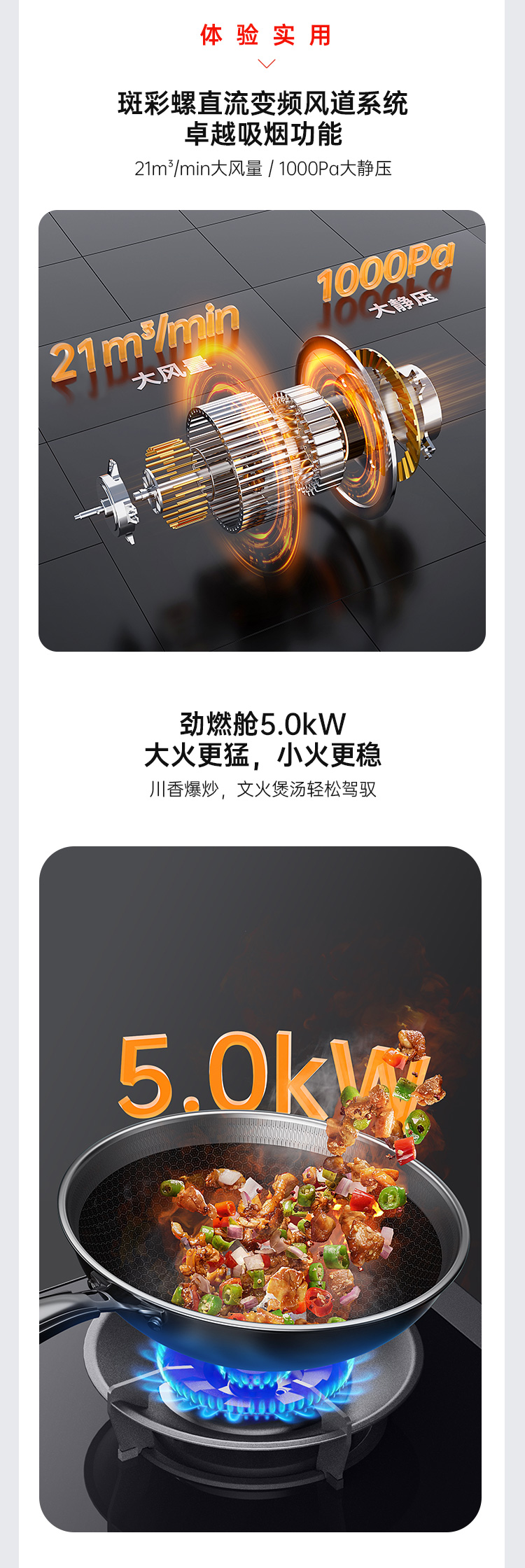 帥豐理想L3左蒸右消毒集成灶