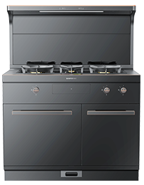 星辰X1雙子星蒸烤獨(dú)立(100Pro)